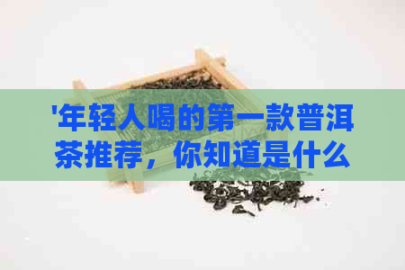 '年轻人喝的之一款普洱茶推荐，你知道是什么吗？'