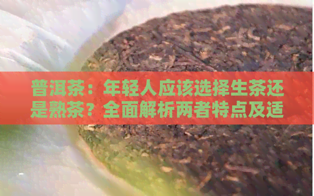 普洱茶：年轻人应该选择生茶还是熟茶？全面解析两者特点及适用场景