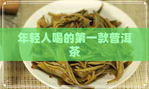 年轻人喝的之一款普洱茶