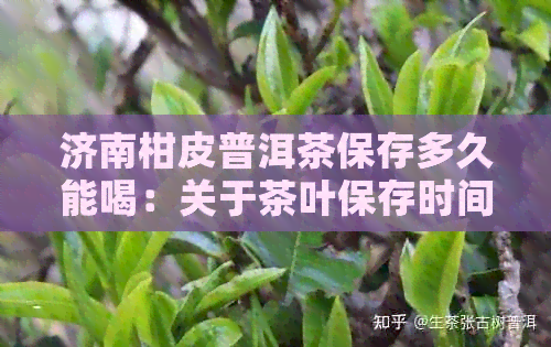 济南柑皮普洱茶保存多久能喝：关于茶叶保存时间的探讨