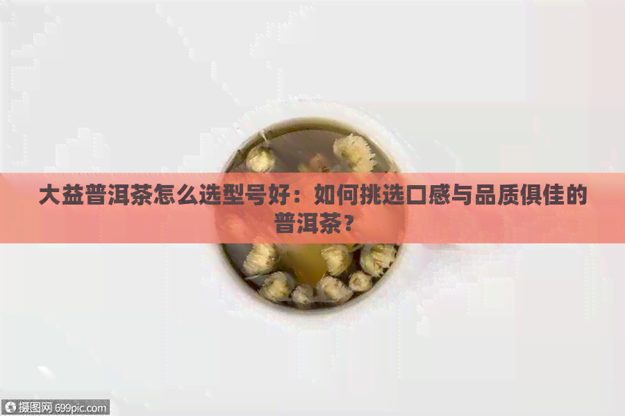 大益普洱茶怎么选型号好：如何挑选口感与品质俱佳的普洱茶？