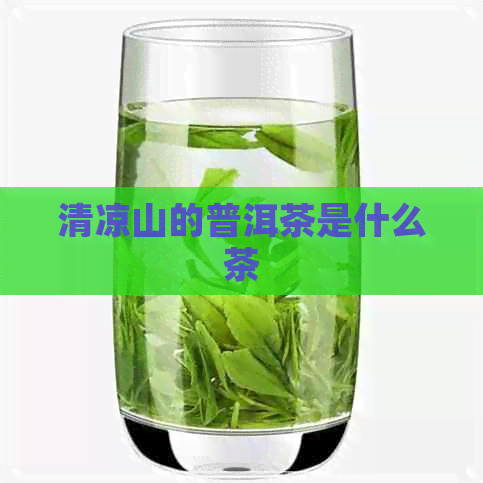 清凉山的普洱茶是什么茶