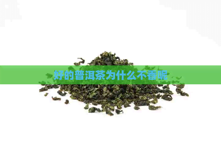 好的普洱茶为什么不香呢