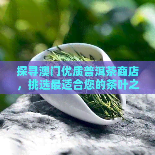 探寻优质普洱茶商店，挑选最适合您的茶叶之选