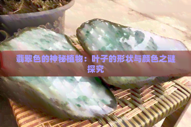 翡翠色的神秘植物：叶子的形状与颜色之谜探究