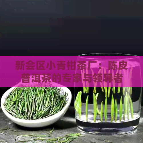 新会区小青柑茶厂：陈皮普洱茶的专家与领导者