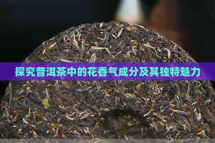 探究普洱茶中的花香气成分及其独特魅力