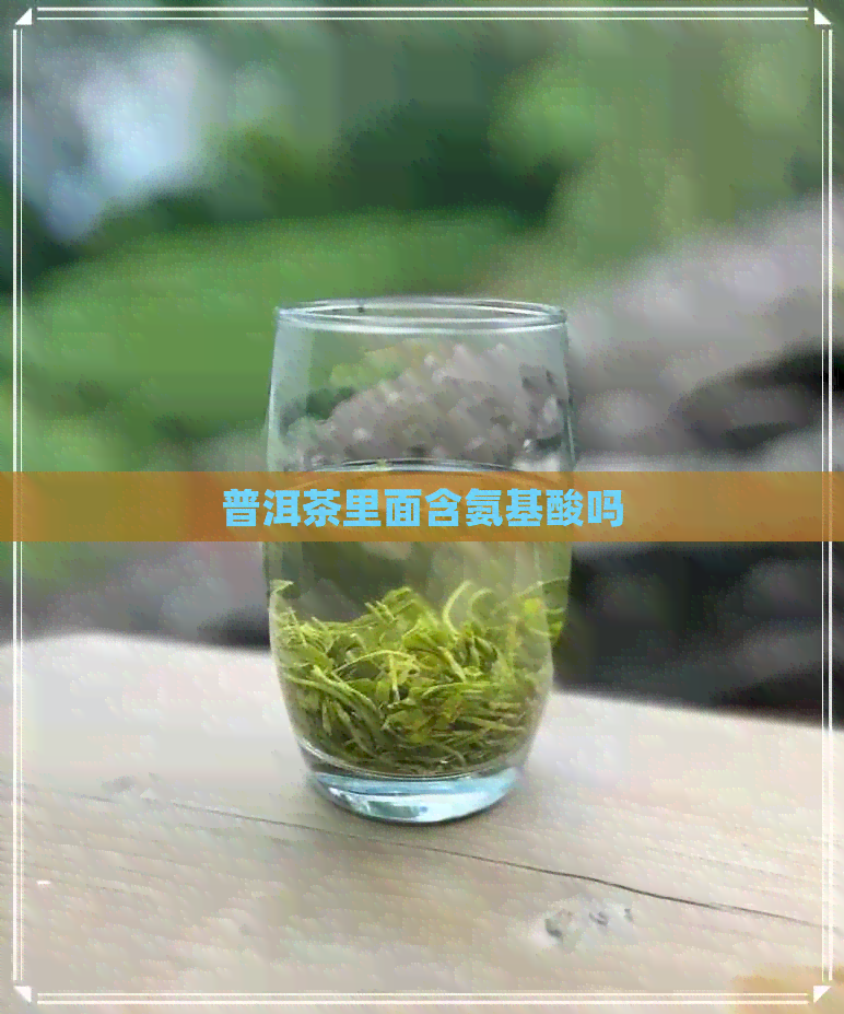 普洱茶里面含氨基酸吗