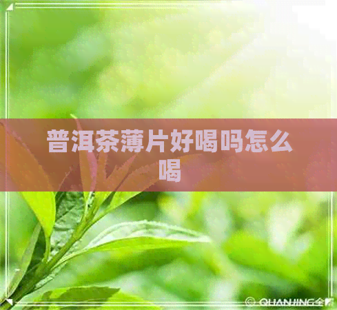 普洱茶薄片好喝吗怎么喝