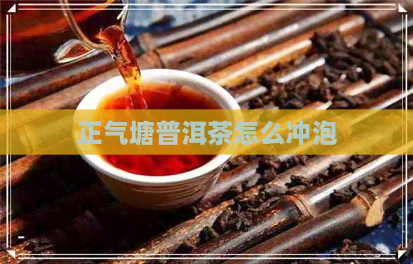 正气塘普洱茶怎么冲泡