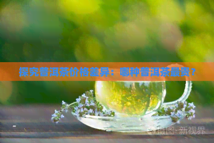 探究普洱茶价格差异：哪种普洱茶最贵？