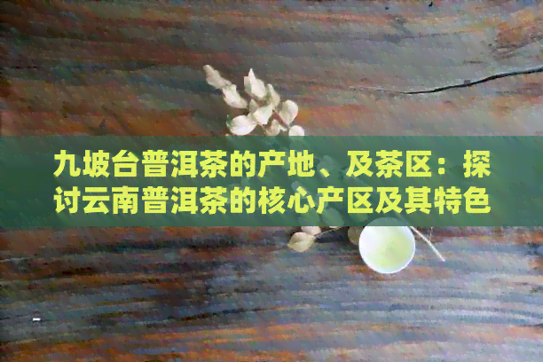 九坡台普洱茶的产地、及茶区：探讨云南普洱茶的核心产区及其特色！