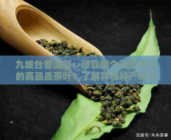 九坡台普洱茶：源自哪个云南茶区的高品质茶叶？了解其独特产地与风味