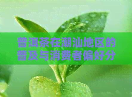 普洱茶在潮汕地区的普及与消费者偏好分析