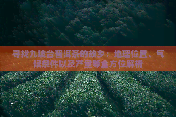 寻找九坡台普洱茶的故乡：地理位置、气候条件以及产量等全方位解析