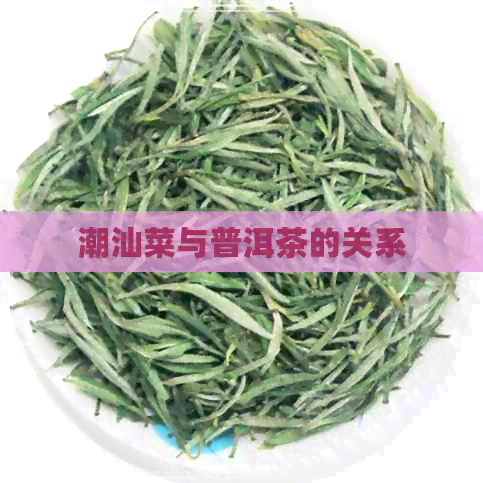 潮汕菜与普洱茶的关系