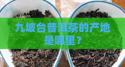 九坡台普洱茶的产地是哪里？