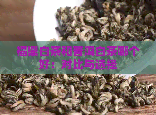 福鼎白茶和普洱白茶哪个好：对比与选择