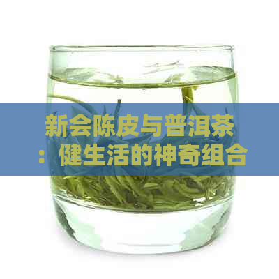 新会陈皮与普洱茶：健生活的神奇组合及其显著功效