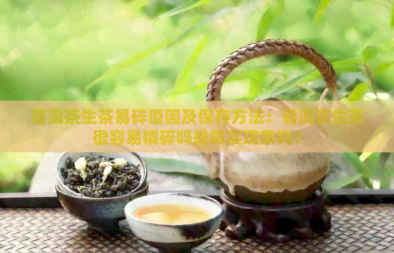 普洱茶生茶易碎原因及保存方法：普洱茶生茶很容易撬碎吗是真实现象吗？