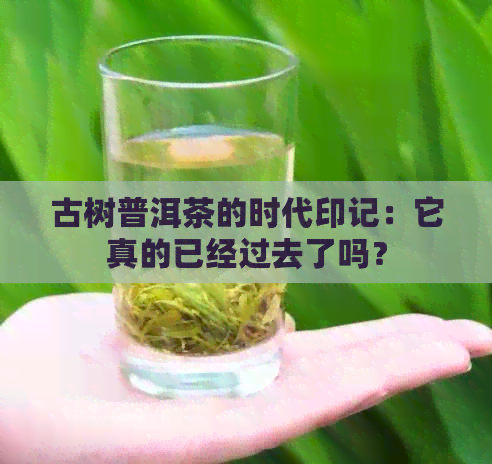 古树普洱茶的时代印记：它真的已经过去了吗？