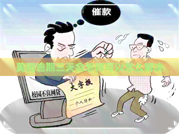 美团逾期三天会怎样可以怎么解决