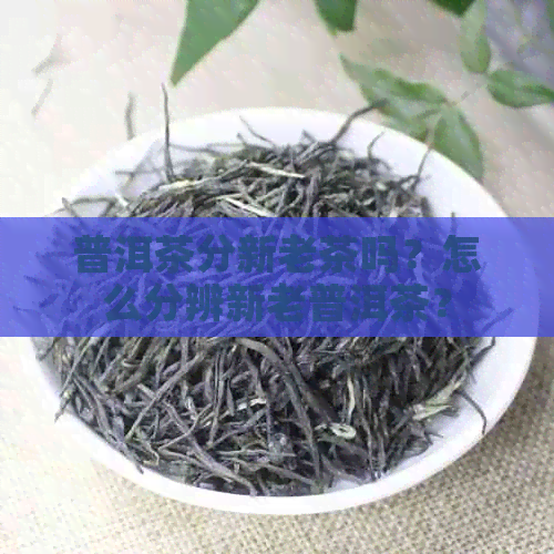 普洱茶分新老茶吗？怎么分辨新老普洱茶？