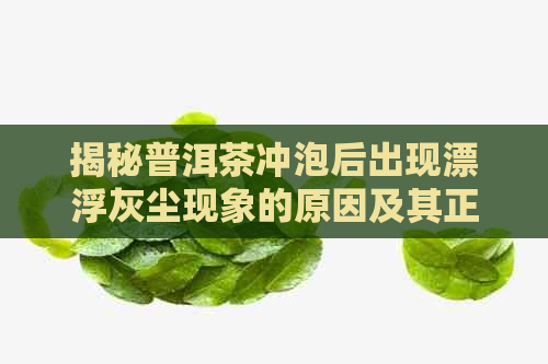 揭秘普洱茶冲泡后出现漂浮灰尘现象的原因及其正常冲泡方式