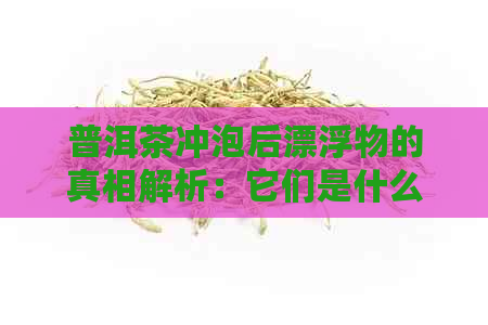 普洱茶冲泡后漂浮物的真相解析：它们是什么，为什么会有？如何判断品质？