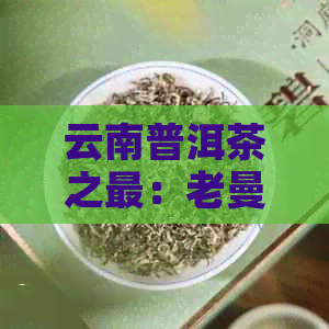 云南普洱茶之最：老曼峨茶区的苦味探究