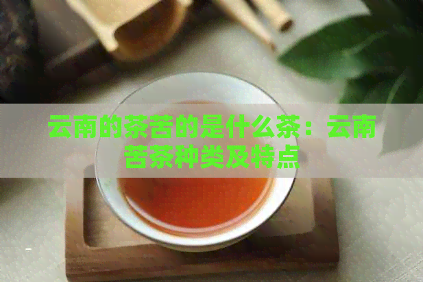 云南的茶苦的是什么茶：云南苦茶种类及特点