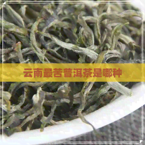 云南最苦普洱茶是哪种