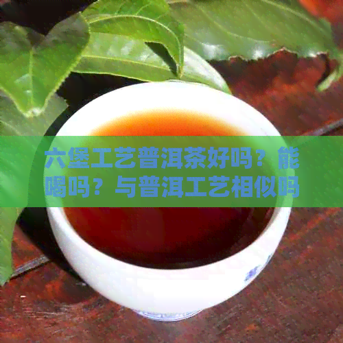 六堡工艺普洱茶好吗？能喝吗？与普洱工艺相似吗？