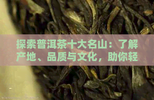 探索普洱茶十大名山：了解产地、品质与文化，助你轻松选购优质茶叶