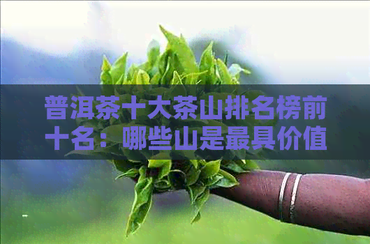 普洱茶十大茶山排名榜前十名：哪些山是更具价值的？