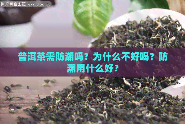 普洱茶需防潮吗？为什么不好喝？防潮用什么好？