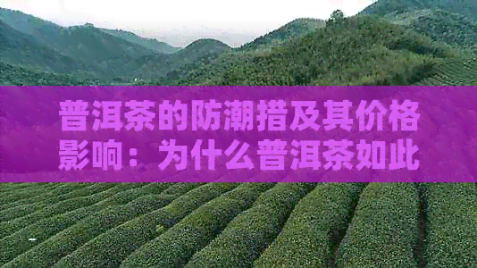 普洱茶的防潮措及其价格影响：为什么普洱茶如此珍贵？