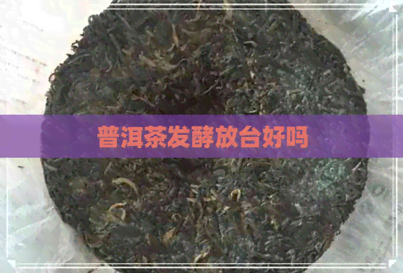 普洱茶发酵放台好吗