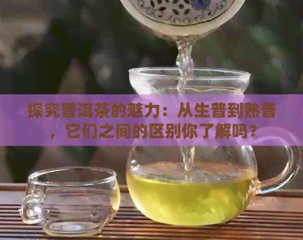 探究普洱茶的魅力：从生普到熟普，它们之间的区别你了解吗？