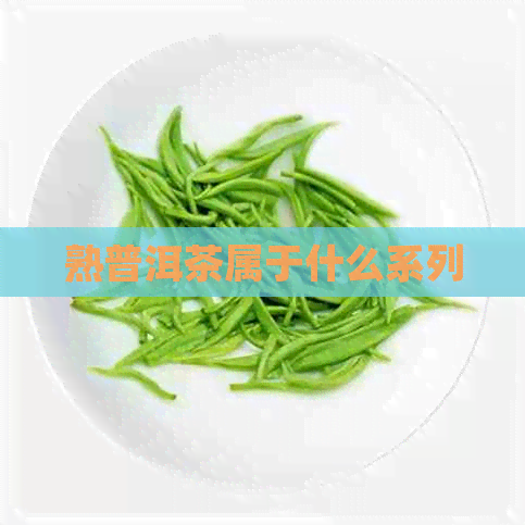 熟普洱茶属于什么系列