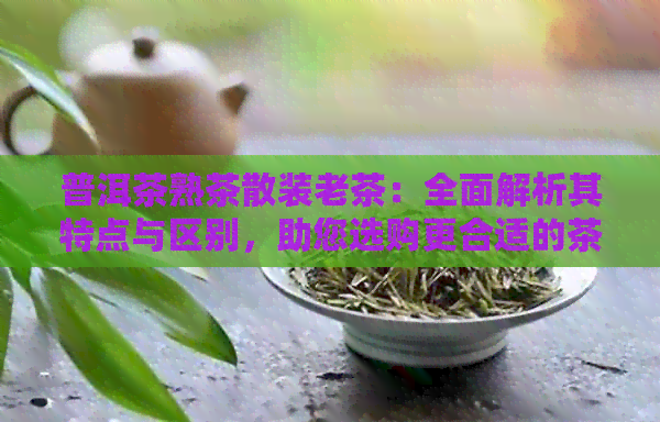 普洱茶熟茶散装老茶：全面解析其特点与区别，助您选购更合适的茶叶