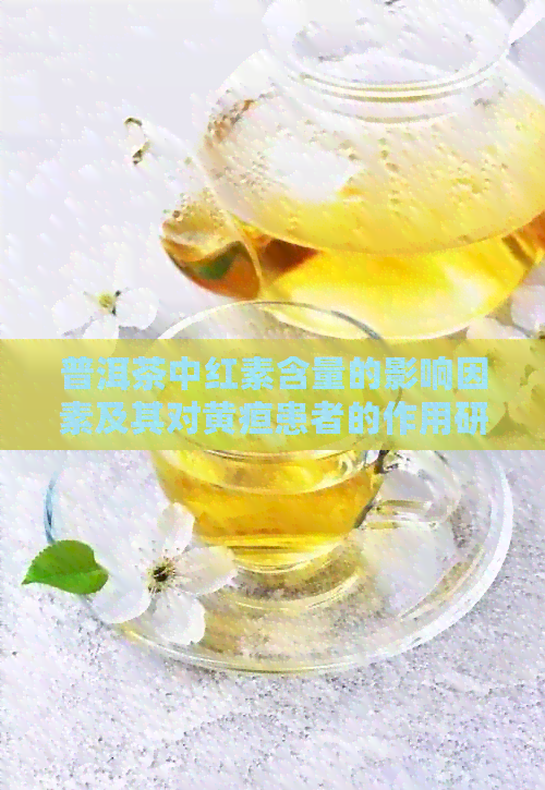 普洱茶中红素含量的影响因素及其对黄疸患者的作用研究