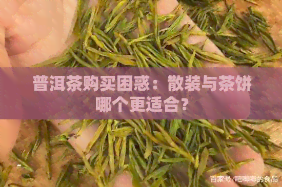 普洱茶购买困惑：散装与茶饼哪个更适合？