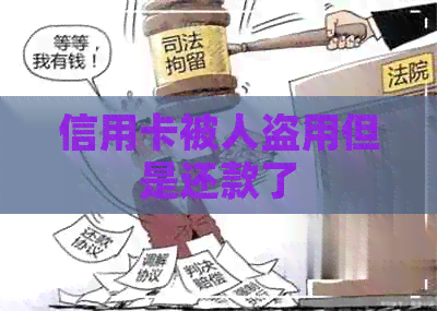 信用卡被人盗用但是还款了