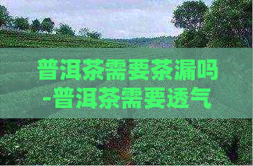 普洱茶需要茶漏吗-普洱茶需要透气吗