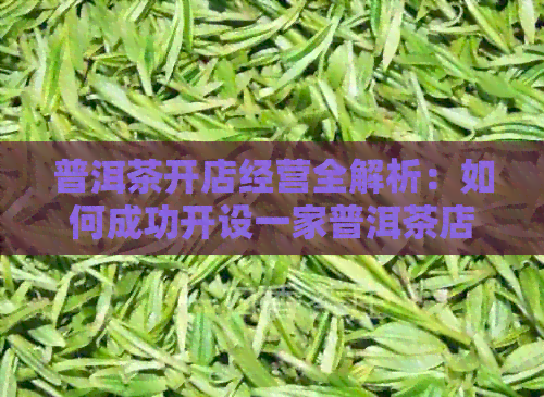 普洱茶开店经营全解析：如何成功开设一家普洱茶店？