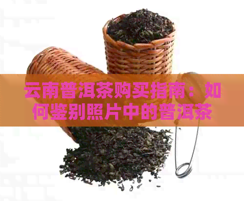 云南普洱茶购买指南：如何鉴别照片中的普洱茶真假？