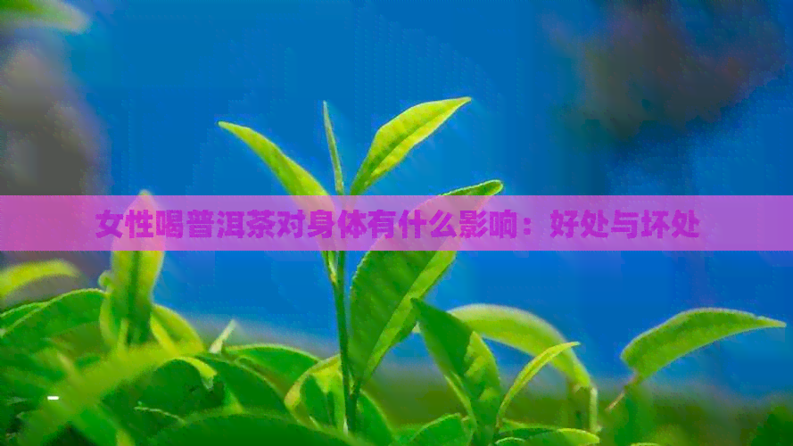 女性喝普洱茶对身体有什么影响：好处与坏处