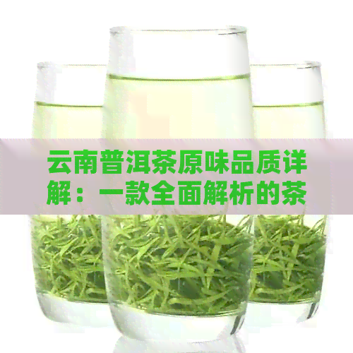 云南普洱茶原味品质详解：一款全面解析的茶叶评价指南