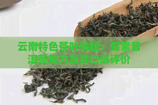 云南特色茶叶体验：探索普洱茶魅力及其口感评价